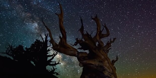 Зоряне небо. Фото: скріншот YouTube-відео