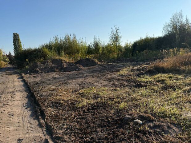 Власні обов'язки під тиском виконавчої служби: як у Житомирі боролися зі стихійним звалищем