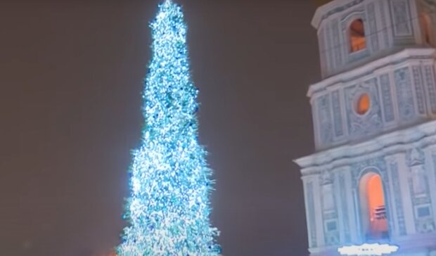 Елка в Киеве. Фото: скриншот Youtube-видео