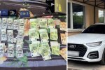 Обшуки у посадовців ВЛК: операція Ескулап, Нацполіція