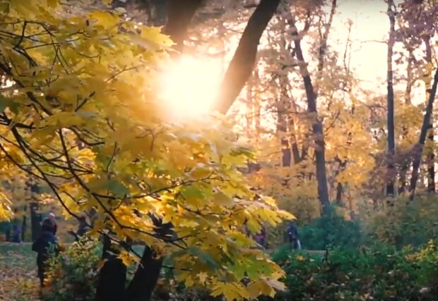 Осень. Фото: скриншот YouTube-видео