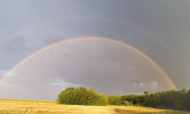 Радуга. Фото: Стена