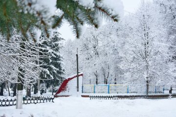 Погода, зима, сніг. Фото: Стіна