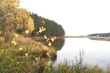 Природа осенью. Фото: скриншот YouTube-видео