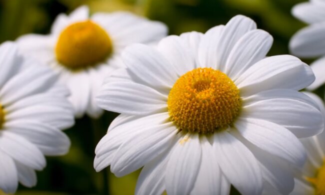 Погода на 19 июля 2020 года