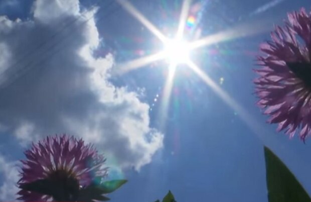 Солнечный день. Фото: скриншот YouTube