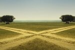 Гороскоп на 31 мая 2020 года