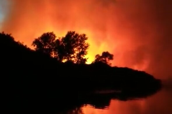 Пожар камыша в Херсонской области. Фото: скрин youtube