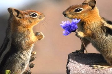 Погода на 29 марта 2020 года