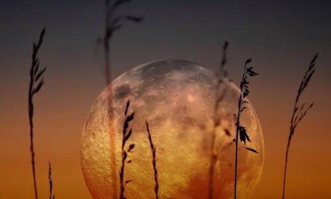 Гороскоп на 28 сентября 2020 года