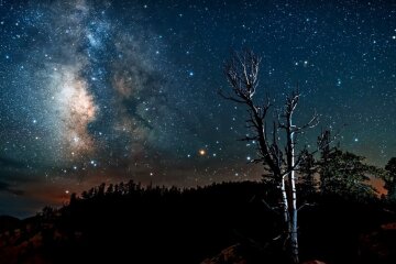 Зоряне небо. Фото: YouTube, скрін