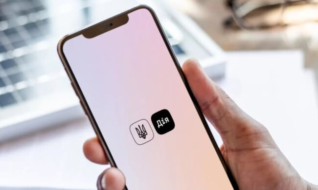 Застосунок Дія, грошова допомога українцям. Фото: Telegram