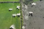 Обстрелы. Фото: скриншот YouTube-видео