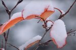 Поздняя осень. Фото: скриншот YouTube-видео