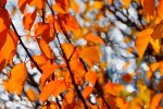 Прогноз погоды на выходные. Фото: скриншот  YouTube-видео
