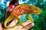 Создан первый нанолазер-хамелеон, способный изменять цвет излучаемого им света
