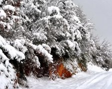 снегопад, источник: телеканал Прямой