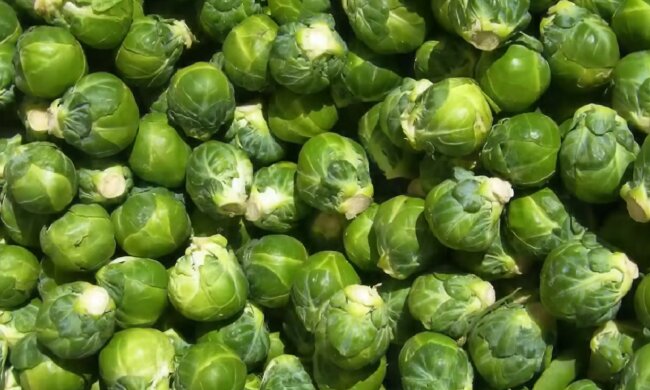 Брюссельская капуста. Фото: YouTube