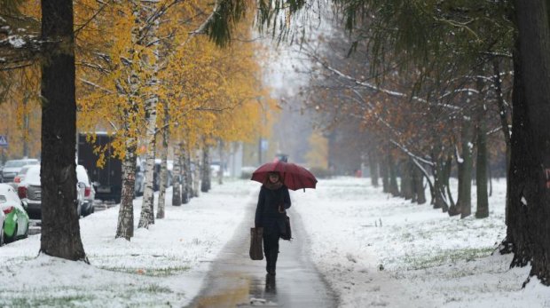 Зима. Фото: utro.ru