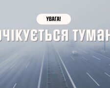 Дощі, тумани та прохолода: якою буде погода в Україні 12 листопада