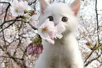 Погода в Украине. Фото: скриншот Instagram