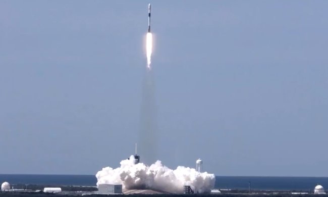 Запуск Falcon 9 на орбиту Земли. Фото: скриншот Twitter
