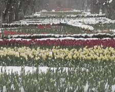Март в Украине может стать снежным и холодным. Фото: YouTube