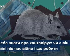 Хантавірус — вірус, що переноситься гризунами