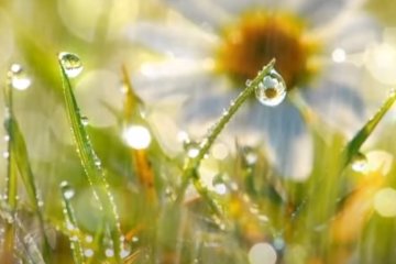 Погода на 1 мая 2020 года