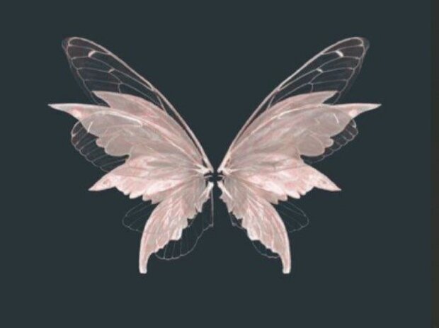 Метелики. Фото: Телеграм