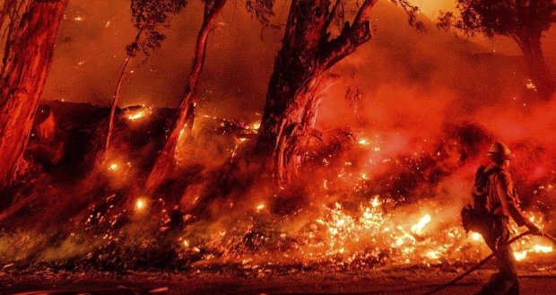 Пожары в Австралии, фото - i.ytimg.com