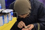 В Польше бездомные коты получают больше помощи, чем в Украине пенсионеры. Как вам?