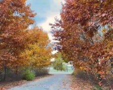 Природа восени. Фото: скріншот YouTube-відео