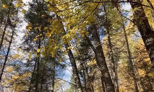 Погода в Украине.  Фото: скриншот YouTube-видео