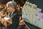 дрова для отопления, государственная помощь на топливо, зимняя подготовка
