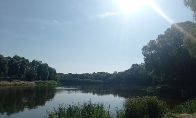 Солнечно. Фото: "Стена"