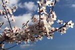 Майская погода. Фото: скриншот Youtube-видео