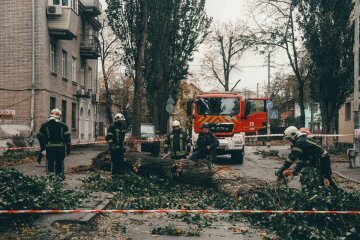 Наслідки негоди. Фото: ДСНС України