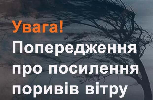 Синоптики попередили, де в Україні буде сильний вітер у понеділок, 6  листопада. Читайте на UKR.NET