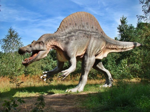 Им 80 миллионов лет: обнаружен уникальный вид динозавров (фото)
