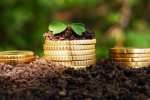 Конфуз в Кабмине: доллары или гривны, не могут определить прибыль от продажи земли