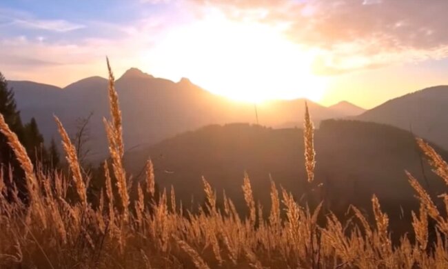 Природа. Фото: скріншот YouTube-відео