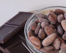 Ученые доказали пользу от шоколада для сердца и сосудов. Фото: скрин YouTube