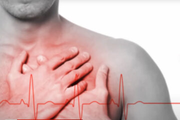 Серце. Фото:youtube.com