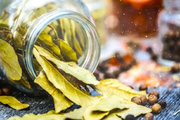 Лавровый лист. Фото: YouTube