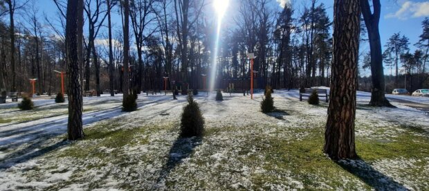 Від 13 морозу до +12: циклон тисне, дощі заходять, мороз тримається, якою буде погода 12 лютого в Україні