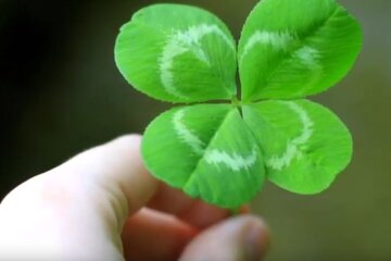 Звезды принесут удачу избранным. Фото: скрин youtube