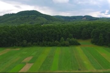 Земля. Фото: скриншот YouTube-видео