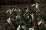 Синоптики пообещали украинцам жаркую и солнечную погоду. Фото: скриншот YouTube