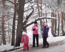 Прогулка зимой. Фото: скриншот YouTube-видео
